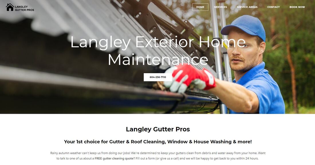 LANGLEY GUTTER AND ROOF CLEANING 