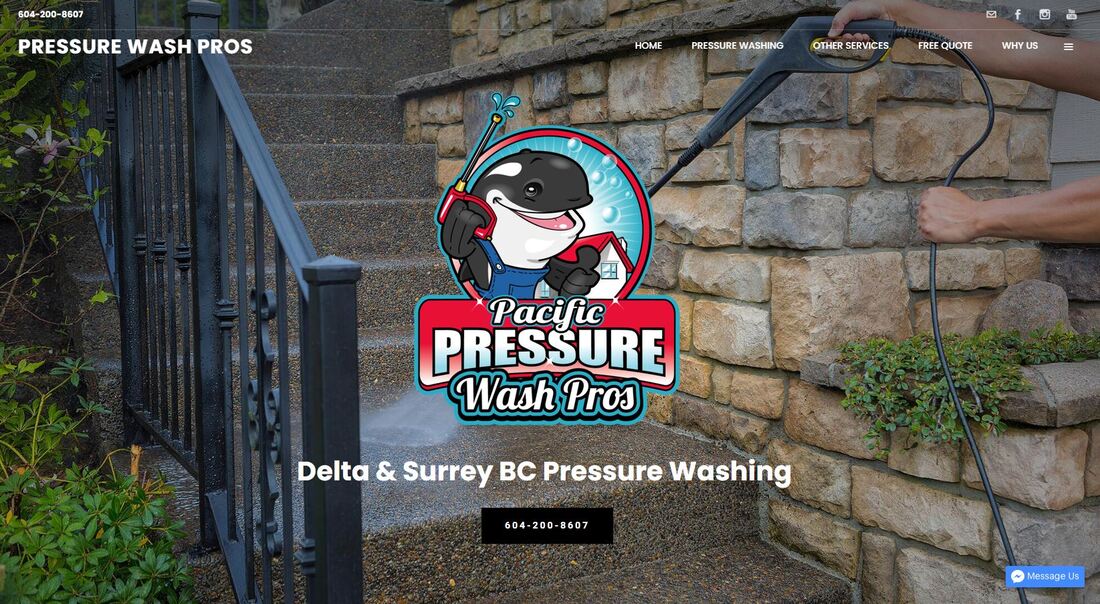 Delta Pressure washing company