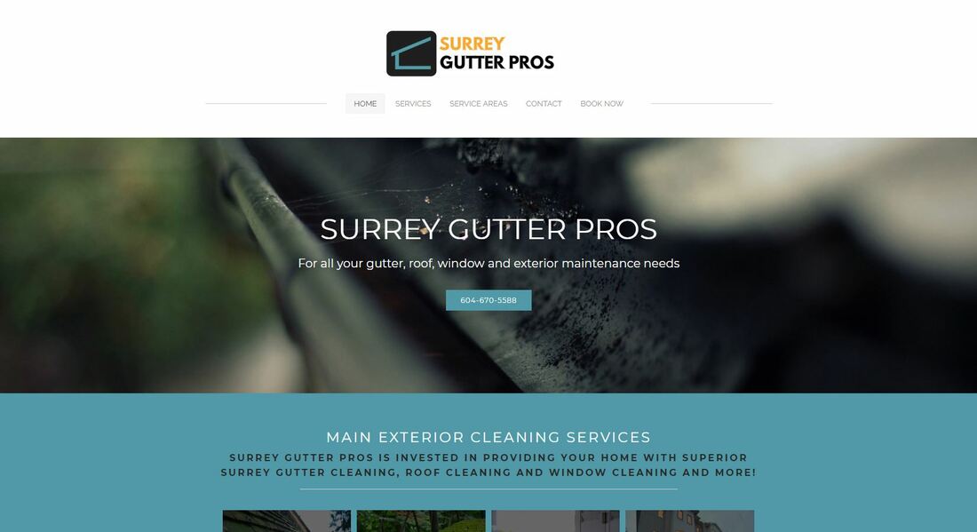 GUTTER CLEANING SURREY BC 